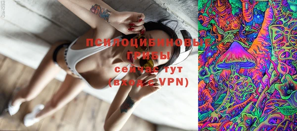 mix Алексин