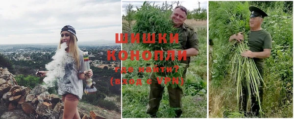 дурь Алзамай