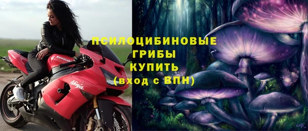 mix Алексин
