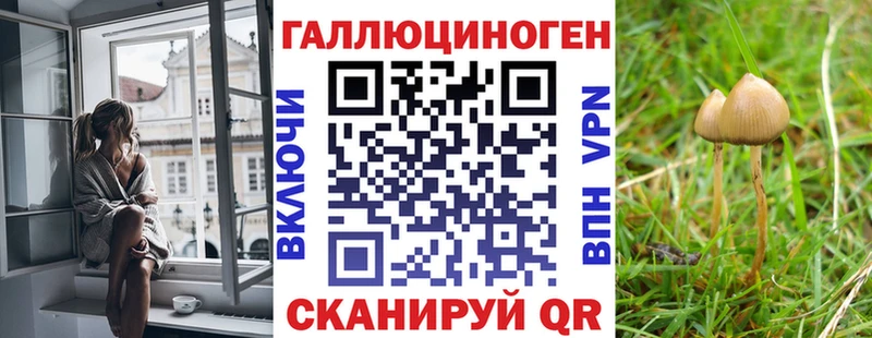 MEGA маркетплейс  Котлас  Галлюциногенные грибы ЛСД 
